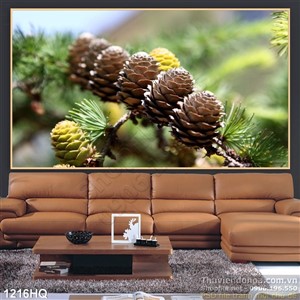 Tranh hoa lá cây thông đẹp