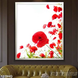 Tranh hoa colico đẹp