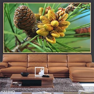 Tranh hoa lá cây thông đẹp