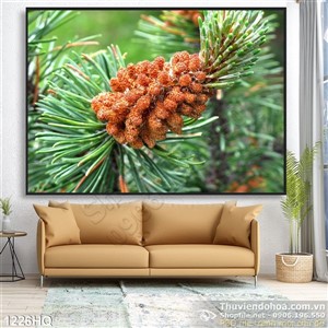Tranh hoa lá cây thông