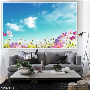 Tranh hoa hồ điệp trang trí phòng khách