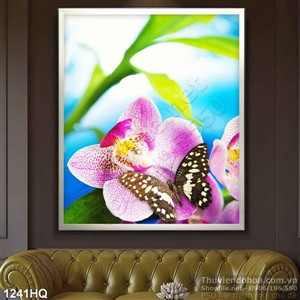 Tranh hoa lan đẹp độc đáo