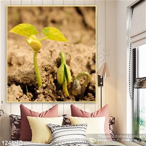 Tranh hoa lá trang trí treo tường