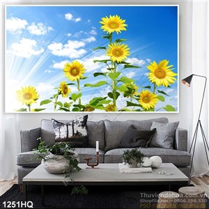 Tranh hoa hướng dương đẹp