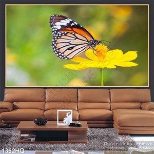 Tranh hoa hồ điệp đẹp