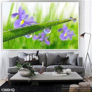 Tranh hoa lan nghệ thuật đẹp