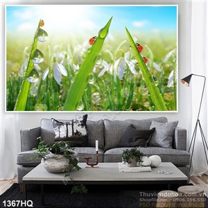 Tranh hoa địa lan độc đáo treo tường