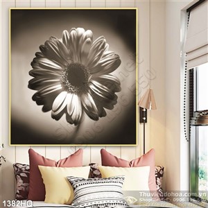 Tranh hoa đồng tiền đẹp