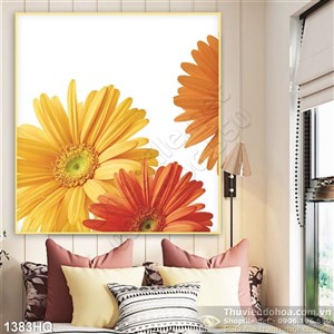 Tranh hoa dđồng tiền trang trí đẹp