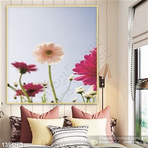 Tranh hoa đồng tiền đẹp