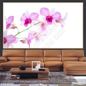 Tranh hoa lan in gạch đẹp