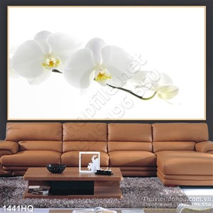 Tranh hoa lan trắng trang trí dán tường
