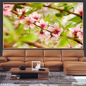 Tranh hoa đào nghệ thuật đẹp