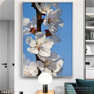 Tranh hoa đào mùa xuân đẹp