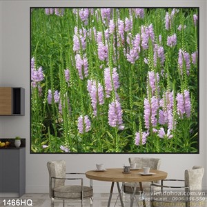 Tranh hoa lá trang trí độc đáo