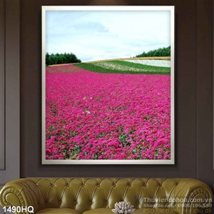 Tranh hoa cánh đồng đẹp
