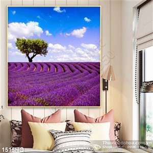 Tranh hoa oải hương treo tường đẹp