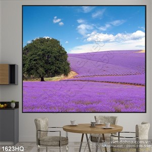 Tranh cánh đồng hoa màu tím đẹp