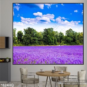 Tranh hoa lá đẹp màu sắc