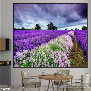 Tranh hoa lá trang trí đẹp