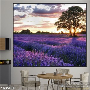 Tranh cánh đồng hoa mầu tím đẹp