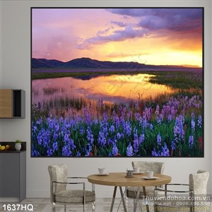 Tranh hoa hoàng hôn đẹp độc đáo