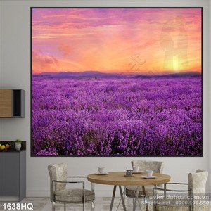 Tranh cánh đồng hoa tím bình minh