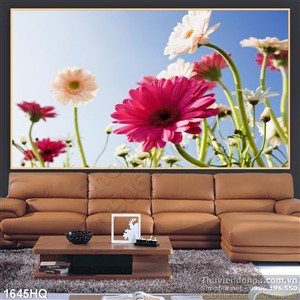 Tranh hoa đồng tiền trang trí nghệ thuật