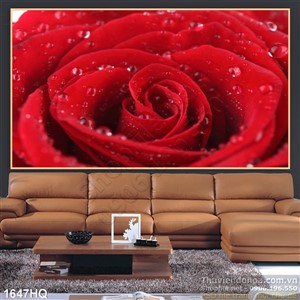 Tranh hoa hồng màu đỏ đẹp trang trí tường