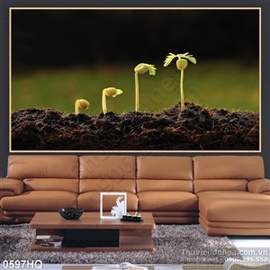 Tranh hoa lá nghệ thuật nhiếp ảnh