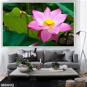 Tranh hoa sen dẹp
