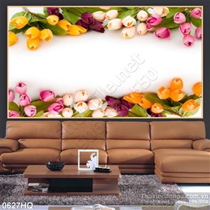 Tranh hoa tulip nền trắng