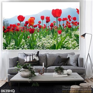 Tranh hoa tulip trang trí đẹp
