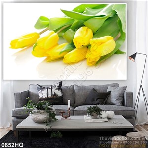 Tranh hoa tulip vàng trang trí phòng khách