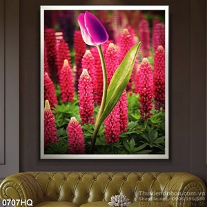 Tranh hoa tulip  nghệ thuật