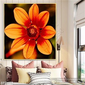 Tranh hoa cúc trang trí treo tường