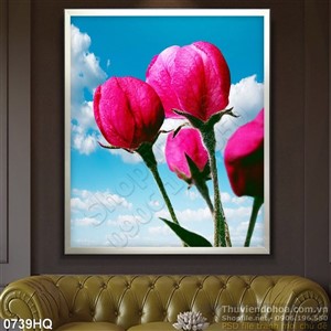 Tranh hoa tulip đẹp treo tường