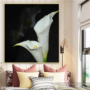 Tranh hoa Vân môn treo tường đẹp