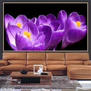 Tranh hoa tulip trang trí tường độc đáo