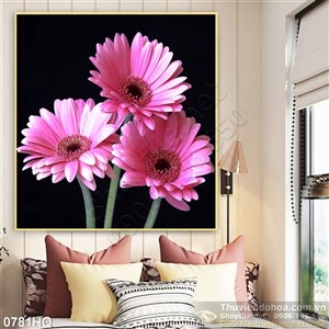 Tranh hoa đồng tiền nghệ thuật