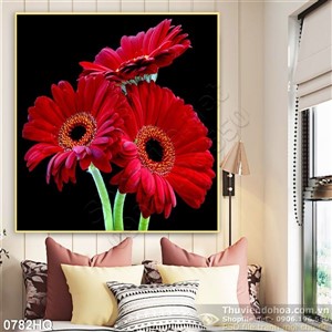 Tranh hoa đồng tiền đẹp