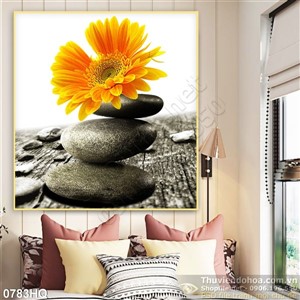 Tranh hoa spa đẹp