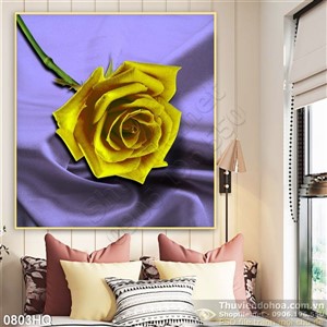 Tranh hoa hồng sen dầu trang trí