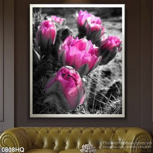 Tranh hoa xương rồng trang trí