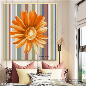 Tranh hoa đồng tiền dán tường đẹp