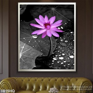 Tranh hoa súng trang trí hiện đại