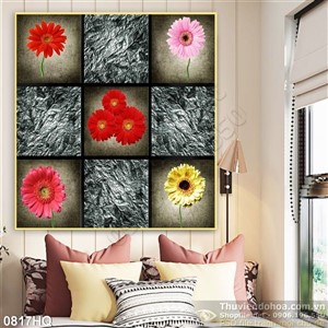 Tranh hoa đồng tiền đẹp