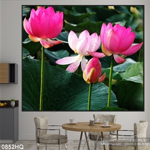 Tranh hoa sen treo tường độc đáo