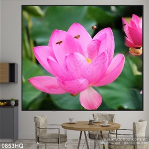 Tranh hoa sen treo tường độc đáo