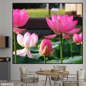 Tranh hoa sen treo tường đẹp